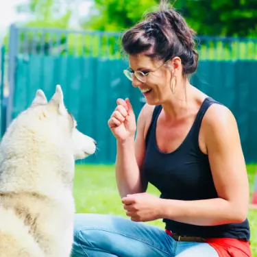 Éducation positive chien Dressage canin sur Anouglême.