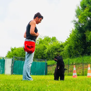 Suivi personnalisé éducation canine Dressage canin sur Anouglême.